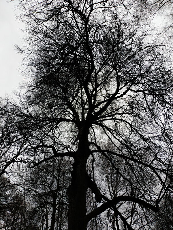 Еще раз о сложностях жизни - Андрей Лукьянов Еще раз о сложностях жизни - Андрей Лукьянов