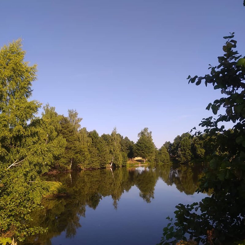 Природа - Аглая Речнова