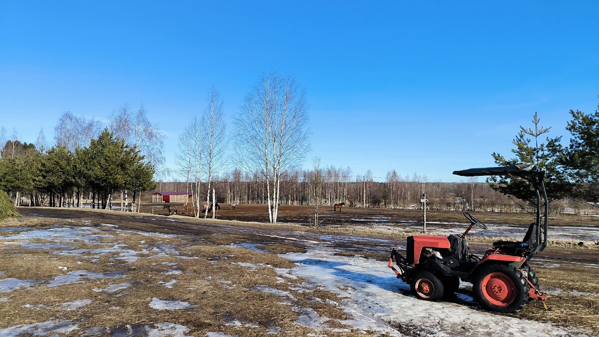 Весна идет! - Ольга 