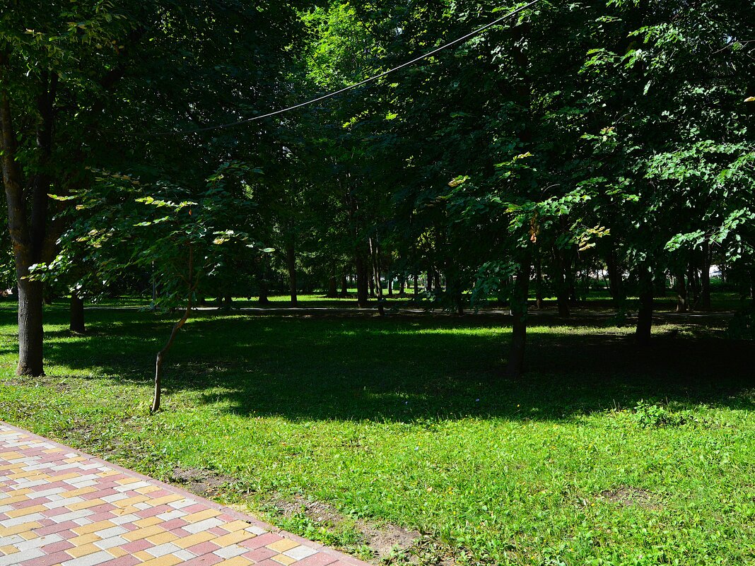 Чебоксары. Летняя лужайка Дорисс-парка. - Пётр Чернега