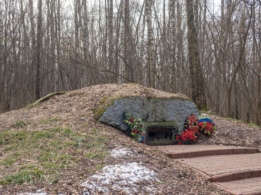 ___ - Yuriy V ___ - Yuriy V