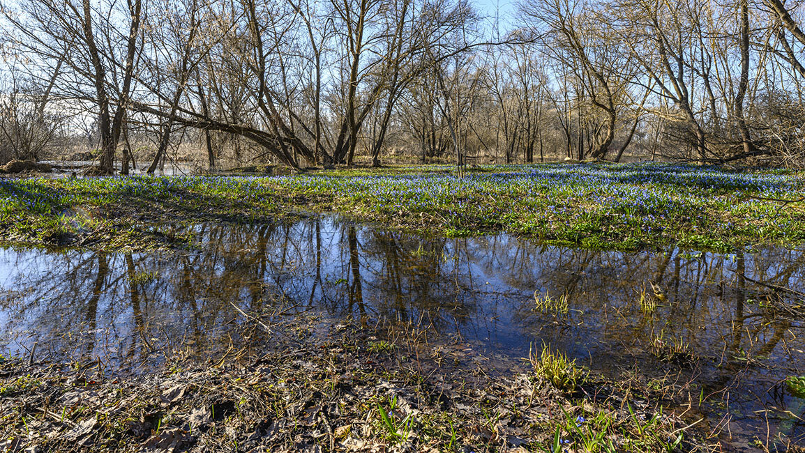 Заводи полные весны - Сергей Заводи полные весны - Сергей