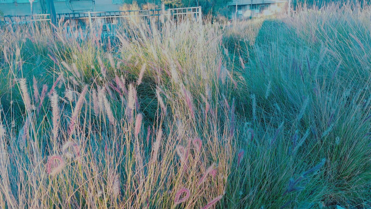 12  КЛОС (718) - CLOSE WAYS ALL