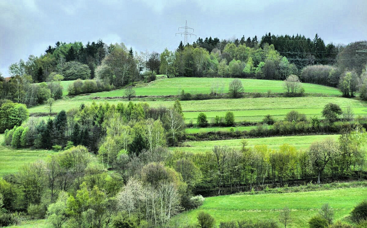 После дождя - Галина Шеина-Мюльдорфер