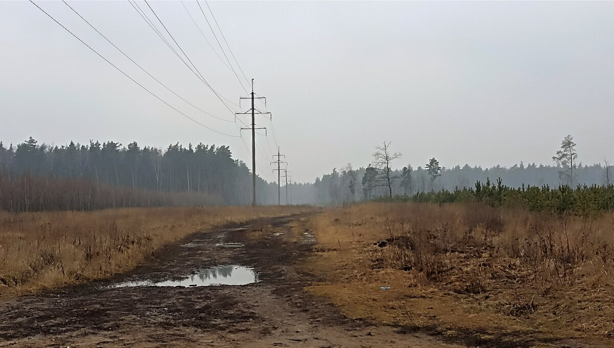 Мартовское утро - Татьяна Тюменка