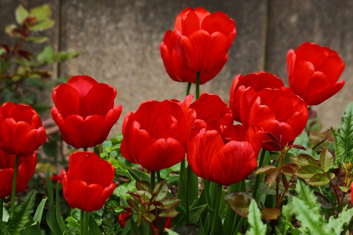 О весне - Юрий. Шмаков