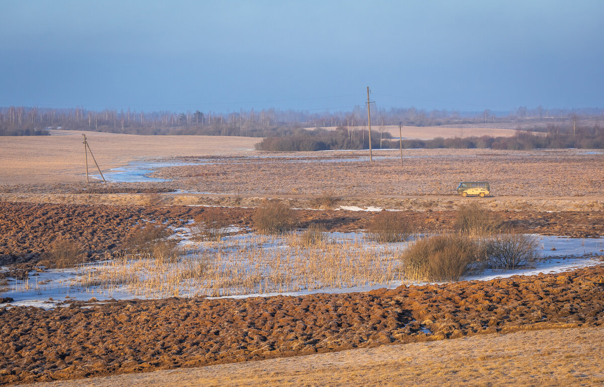 **** - Елизавета .