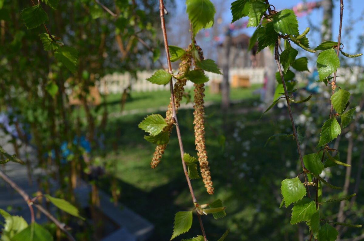 ,,, - Сергей Тимоновский