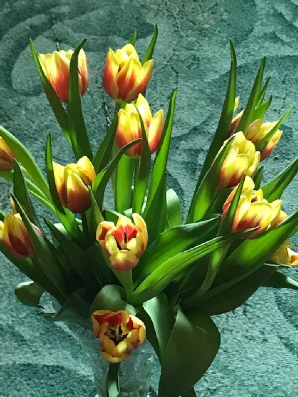 Весна вечна, но всегда неповторима! - Татьяна Юрасова