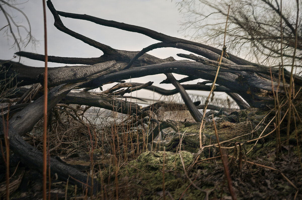 Головешки - sorovey Sol Головешки - sorovey Sol