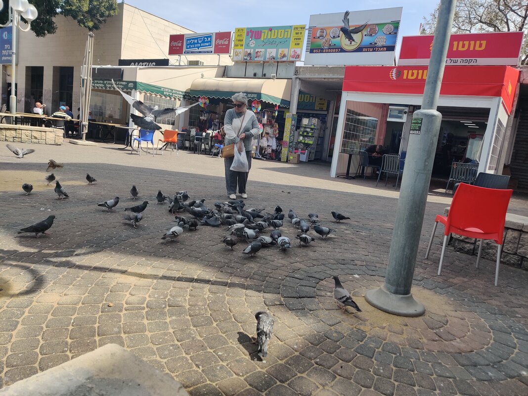 " - Светлана Хращевская