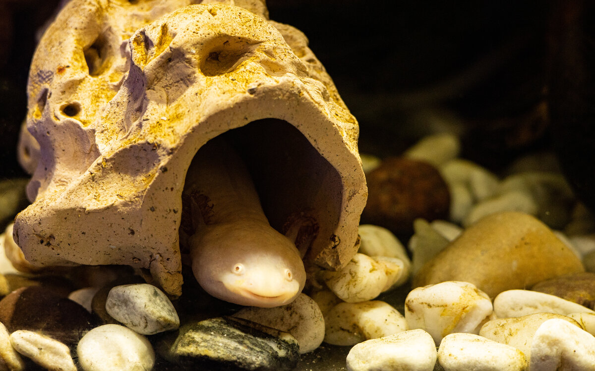 Моё лицо, когда я ничего не успеваю, но пытаюсь сохранять оптимизм) - Анастасия Фотографовна