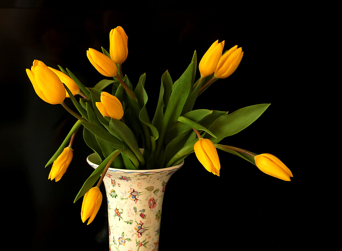 Жёлтые тюльпаны - осколки солнца - Светлана 