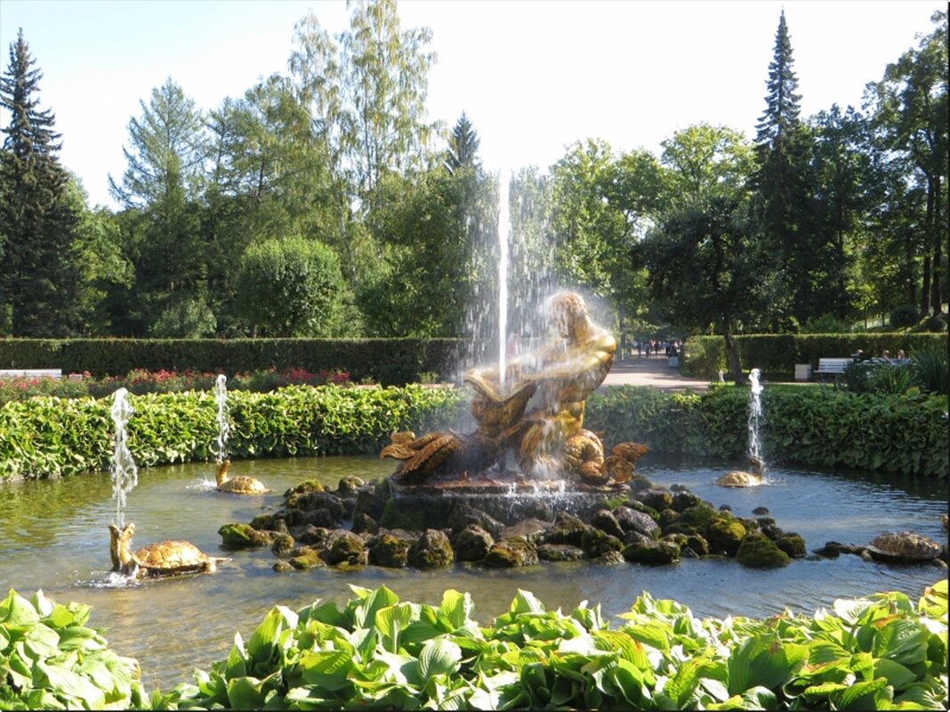 парк .Санкт-Петербург. - марта Камушкина парк .Санкт-Петербург. - марта Камушкина