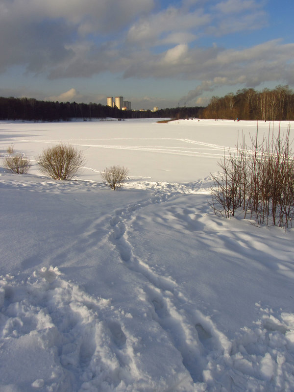 Из старого сундука, 02.02.2013 - Андрей Лукьянов