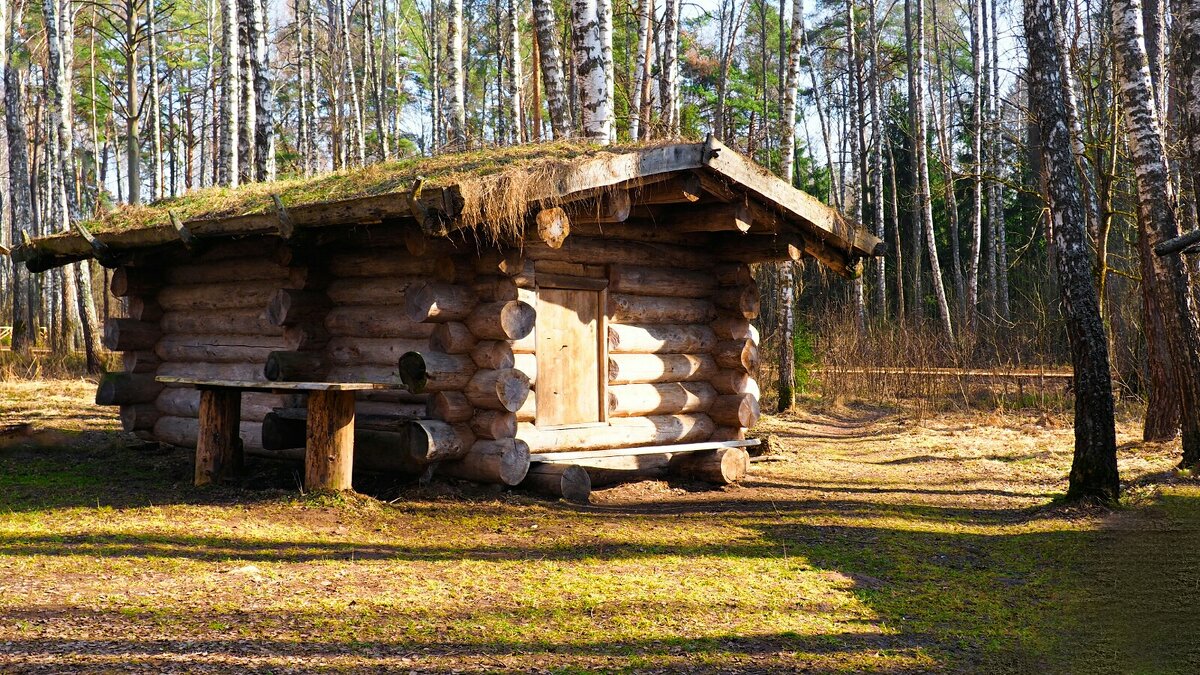 Полноразмерная копия крестьянской избы. - Милешкин Владимир Алексеевич 