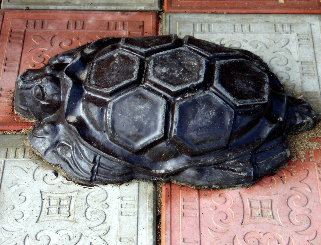 Черепашка. - nadyasilyuk Вознюк Черепашка. - nadyasilyuk Вознюк