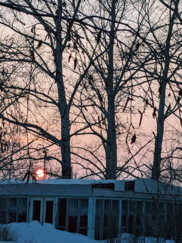 Солнце садится - Георгиевич 