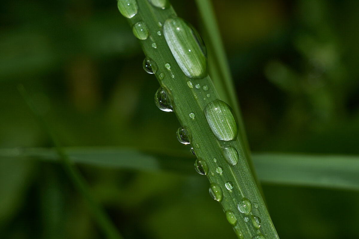 Ранним утром - Владимир Башко