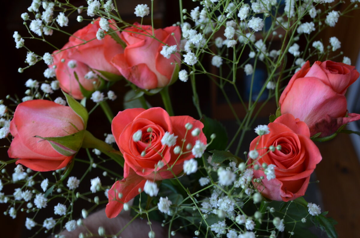 ,,, - Сергей Тимоновский ,,, - Сергей Тимоновский