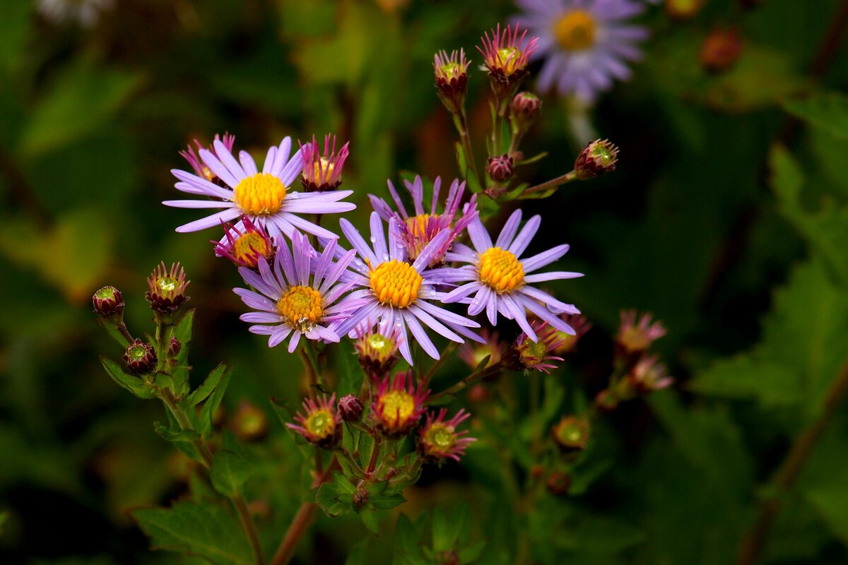Октябрины - Юрий. Шмаков