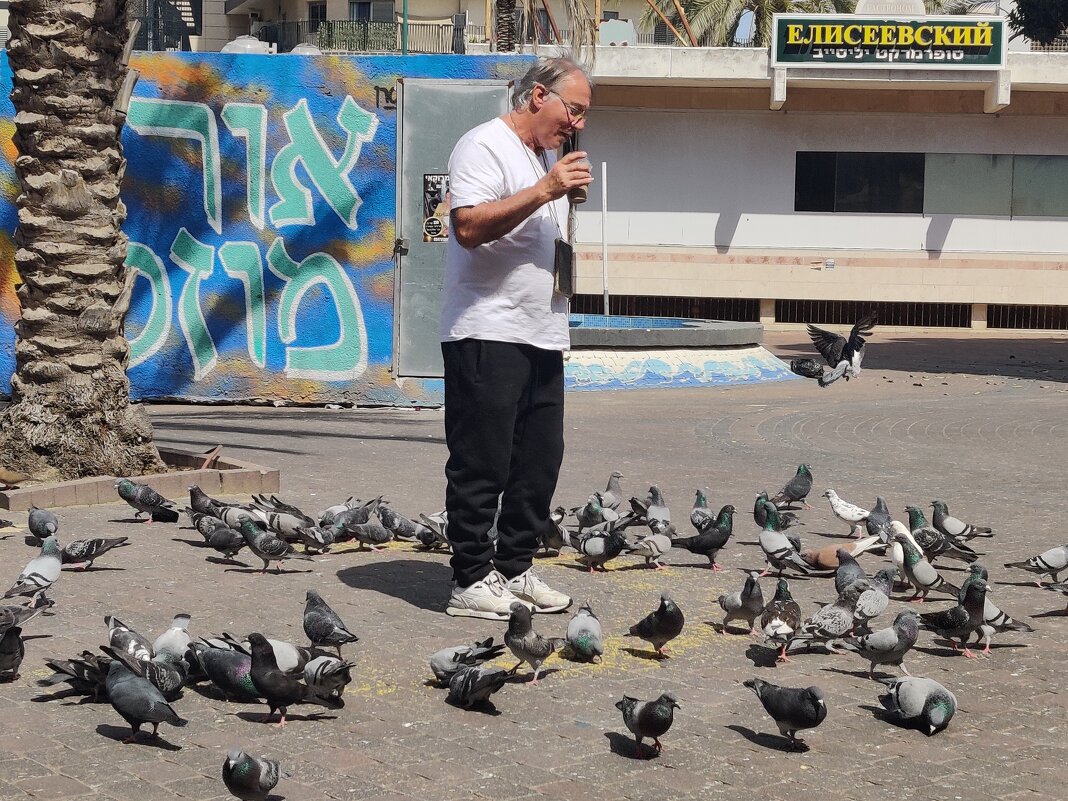 Кормление глобулей. - Светлана Хращевская Кормление глобулей. - Светлана Хращевская