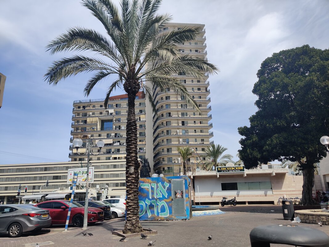 " - Светлана Хращевская