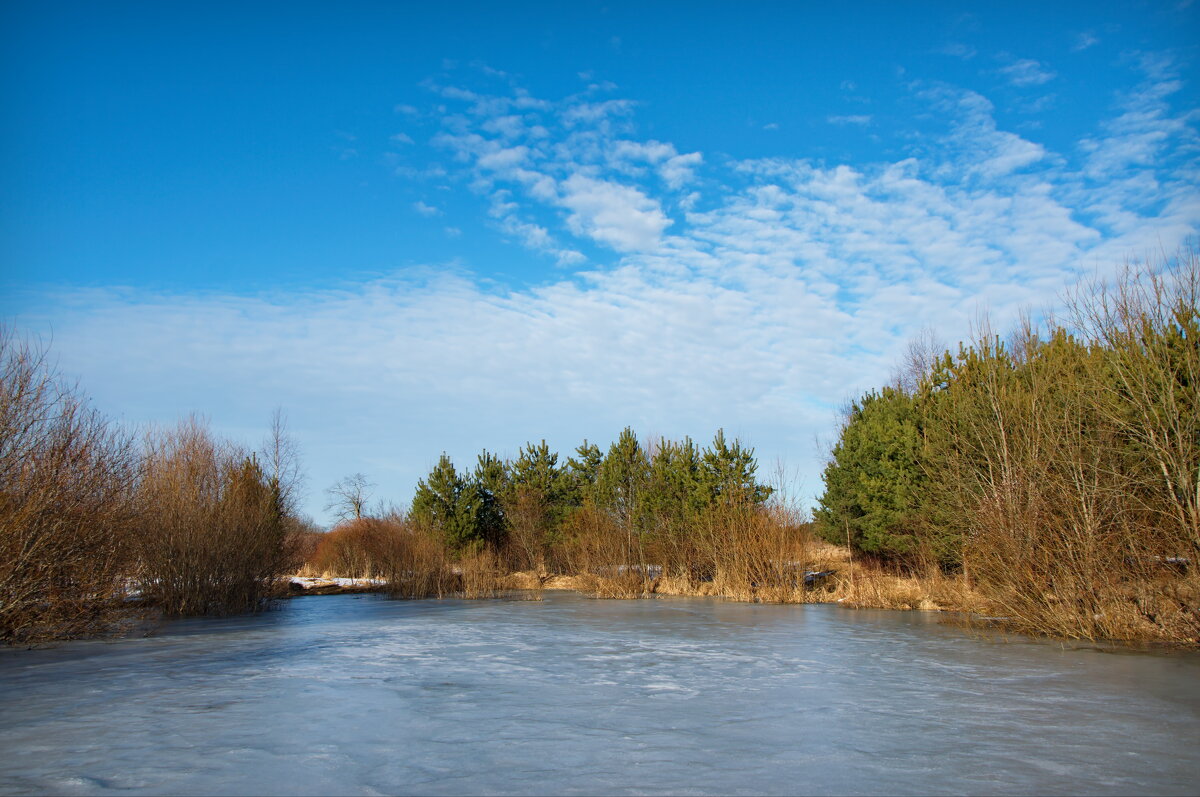 Весеннее небо - lady v.ekaterina Весеннее небо - lady v.ekaterina