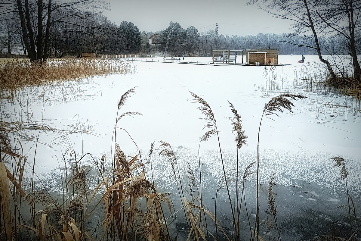 На оз. Мелком .... - Владимир Шошин