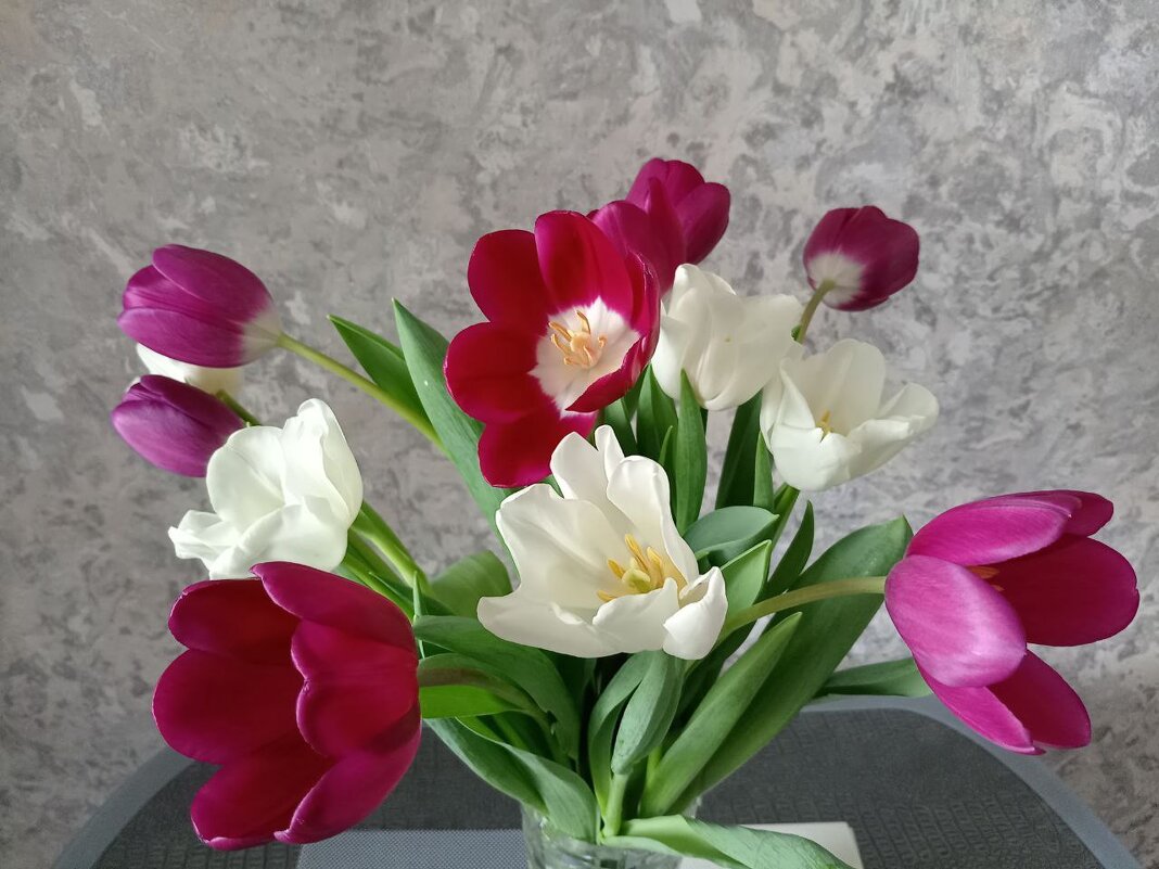 Весна - Надежда 