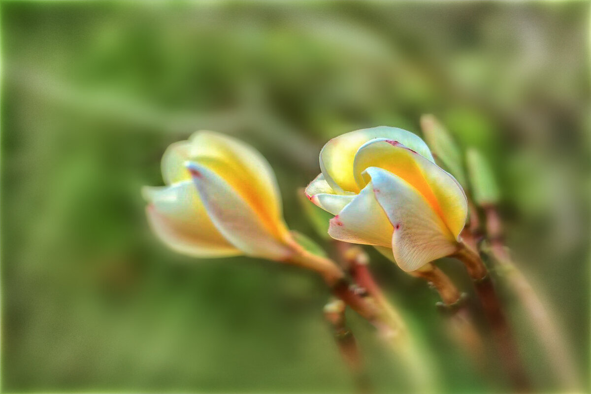 * - AZ east3 * - AZ east3