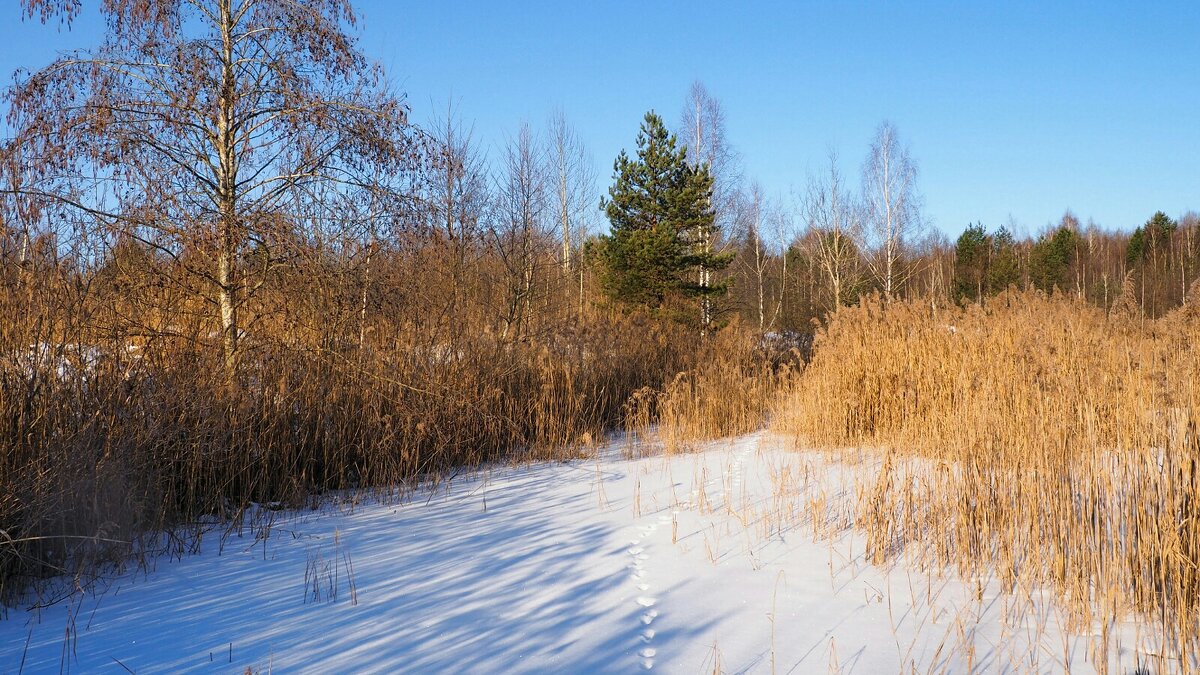 Февраль - Милешкин Владимир Алексеевич 