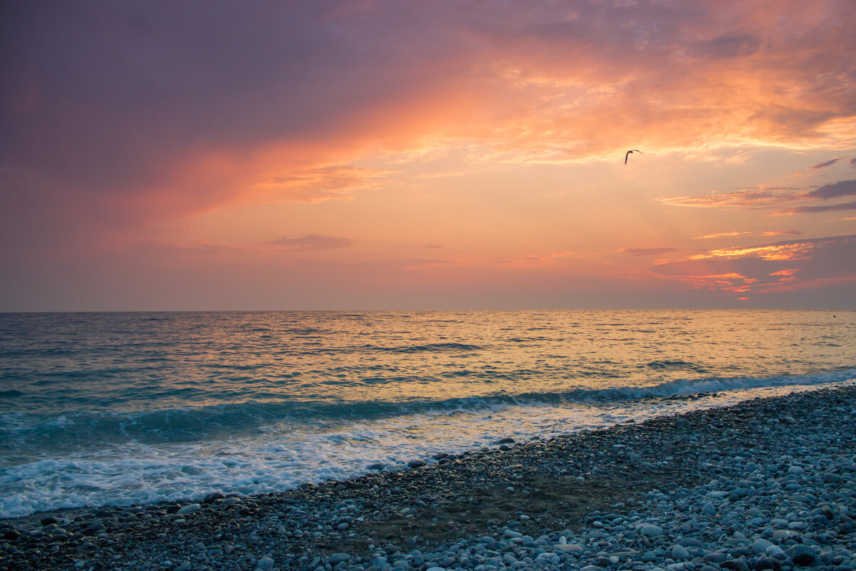 * - Дмитрий Кобзев * - Дмитрий Кобзев