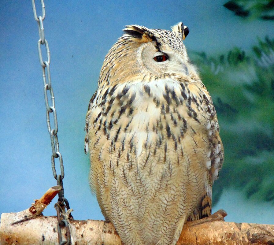 Обиделась. - nadyasilyuk Вознюк Обиделась. - nadyasilyuk Вознюк