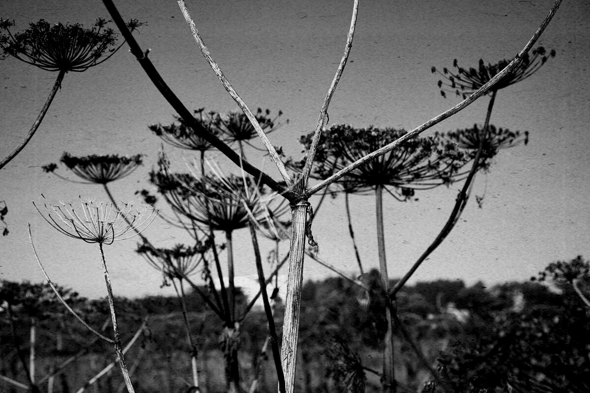 Название отсутствует - Денис Безногов