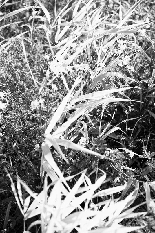 Название отсутствует - Денис Безногов