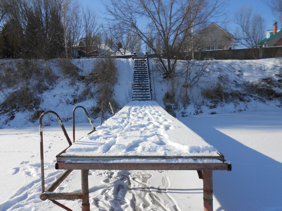 февраль - Елена Шаламова