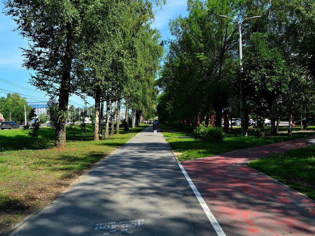 Чебоксары. Летняя аллея проспекта Ивана Яковлева. - Пётр Чернега Чебоксары. Летняя аллея проспекта Ивана Яковлева. - Пётр Чернега
