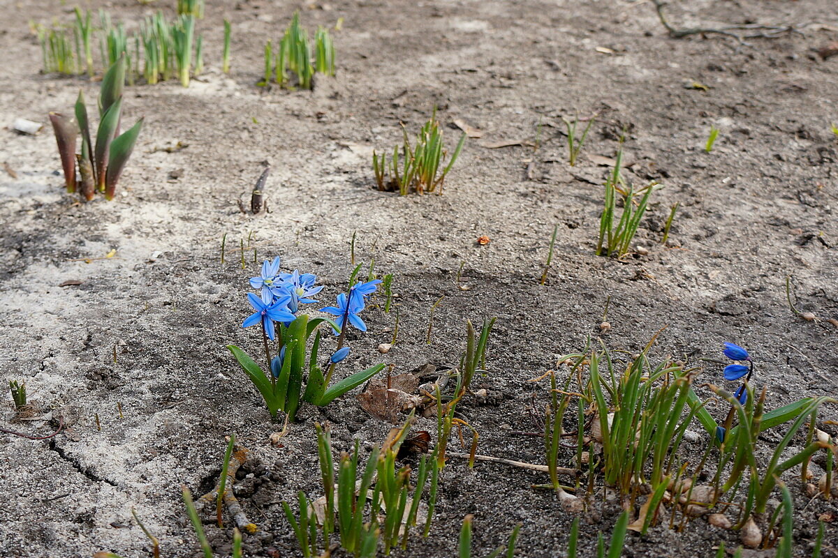Середина Марта - Сеня Белгородский Середина Марта - Сеня Белгородский