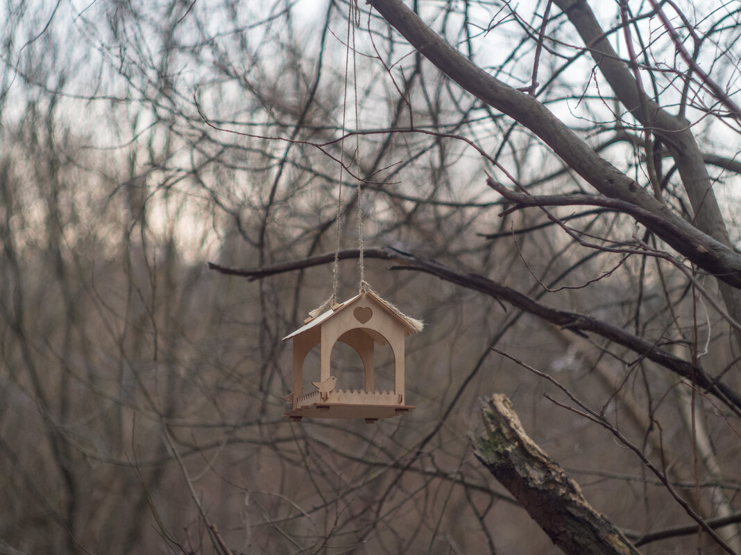 ___ - Yuriy V ___ - Yuriy V