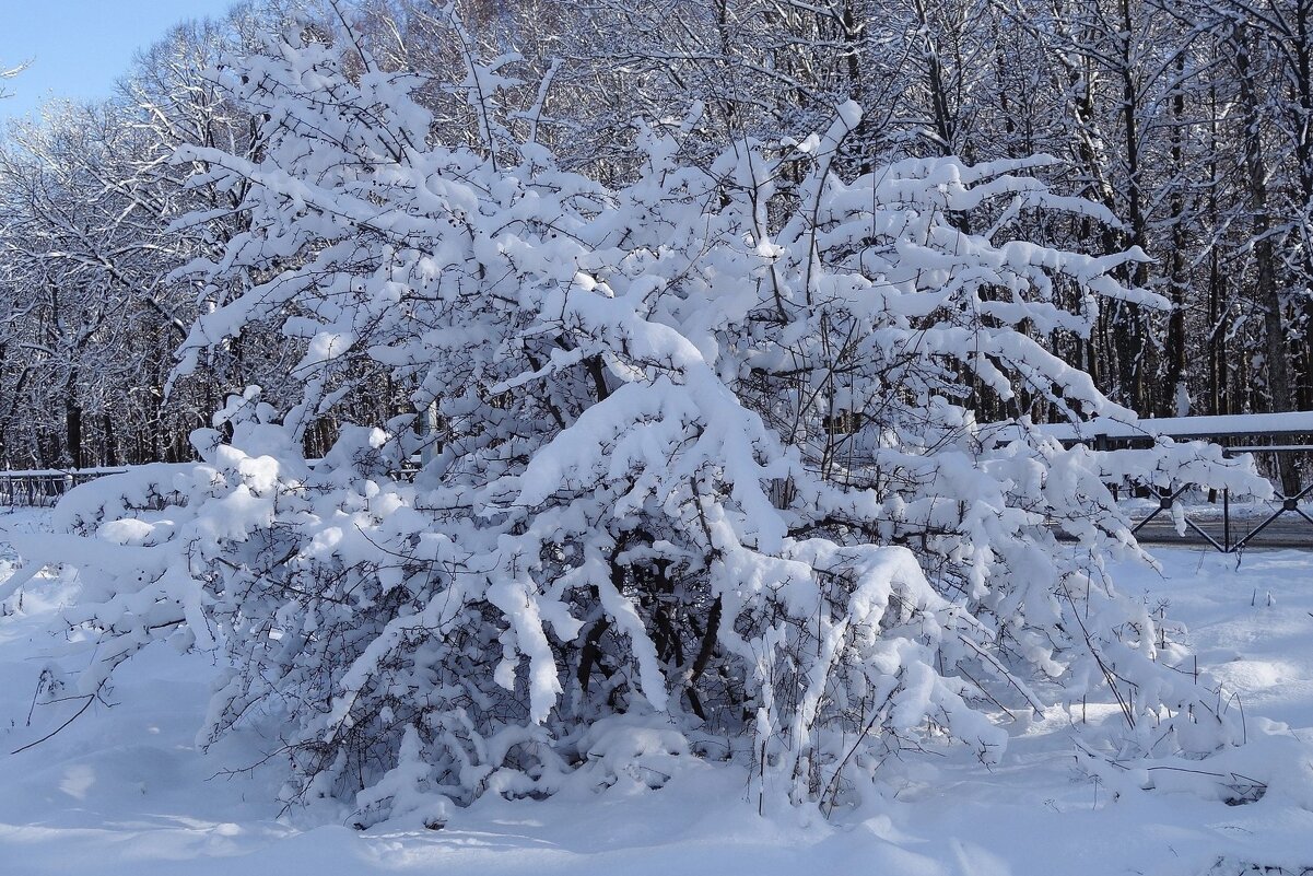 В окрестностях Калининграда - Рита Симонова В окрестностях Калининграда - Рита Симонова