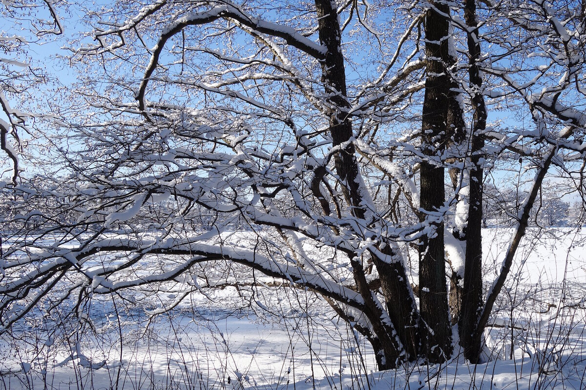 В окрестностях Калининграда - Рита Симонова В окрестностях Калининграда - Рита Симонова
