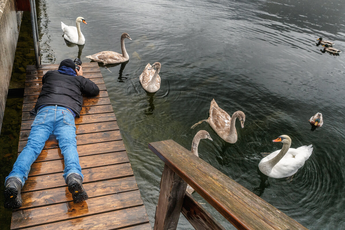 Австрия - Владимир Колесников