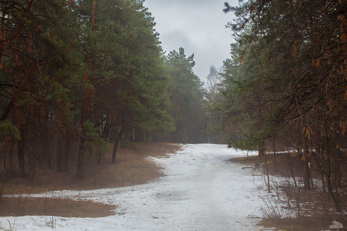 Туманно - Александр Синдерёв