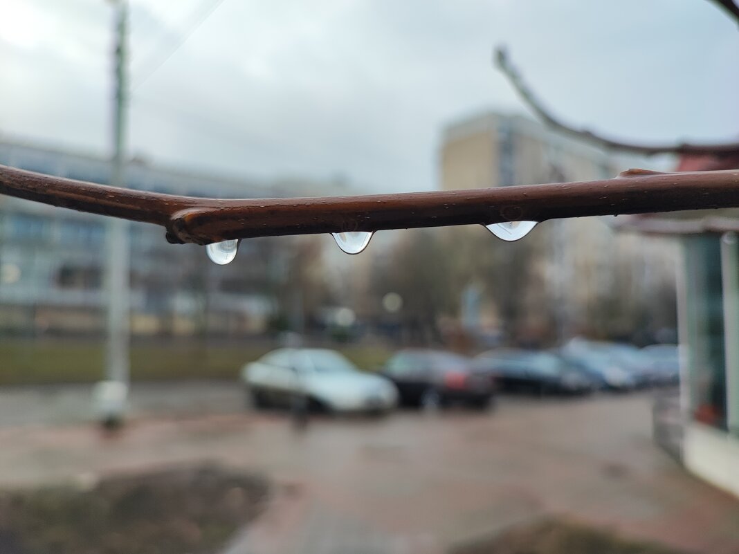 ,,, - Сергей Тимоновский