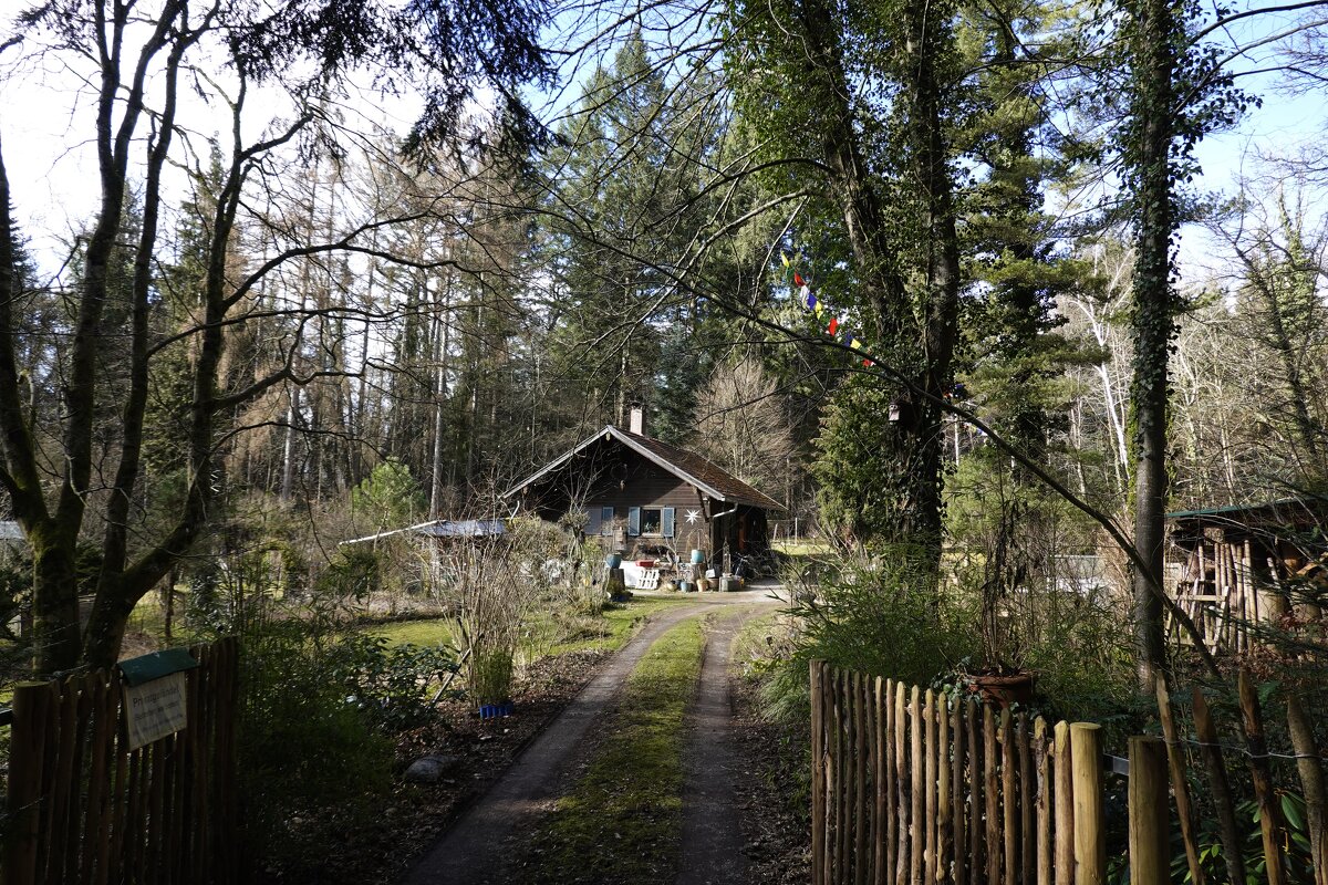 Домик в  лесу...... - Галина 