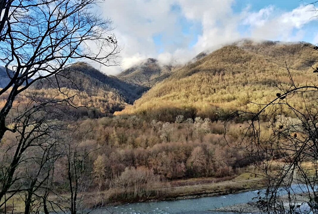 Р.ШАХЕ. СОЛОХ-АУЛ СОЧИ - Tata Wolf