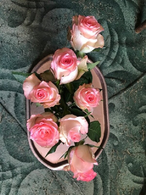 Красота... - Татьяна Юрасова