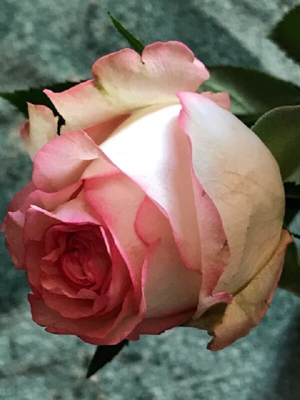 ! ! ! - Татьяна Юрасова