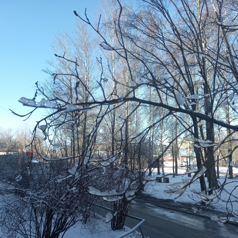 15 марта 2025 - BoxerMak Mak